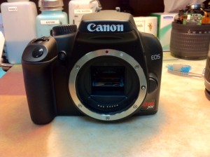 Canon Digital Rebel XS Sensor Cleaning